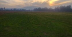 Terreno Agrícola, LT 1G 10.786m2 Sector Tinguiririca comuna de Chimbarongo