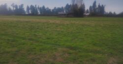 Terreno Agrícola, LT 1G 10.786m2 Sector Tinguiririca comuna de Chimbarongo