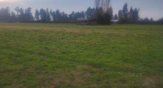 Terreno Agrícola, LT 1G 10.786m2 Sector Tinguiririca comuna de Chimbarongo