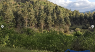 Terreno, 21 hectáreas  – Sector Pihuchén Alto.