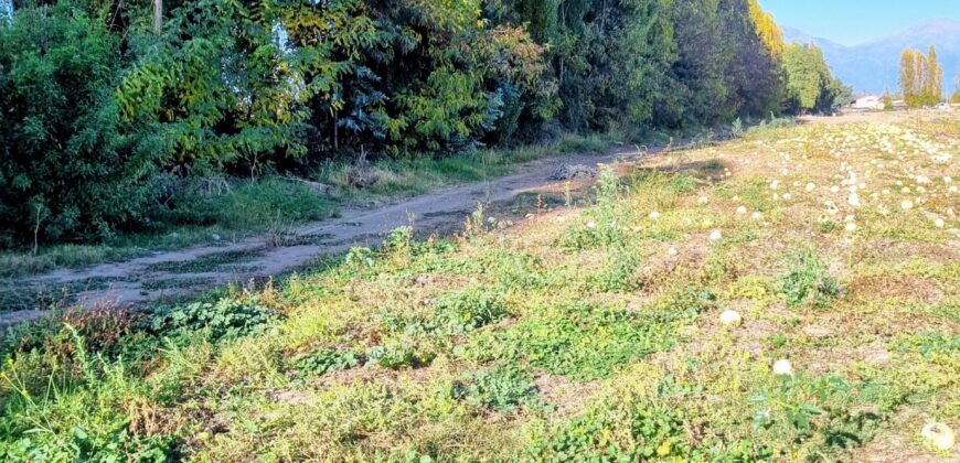 Venta Propiedad agrícola – Chimbarongo, Camino San Henríquez – 16.668 UF