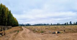 Venta Propiedad agrícola – Chimbarongo, Camino San Henríquez – 16.668 UF